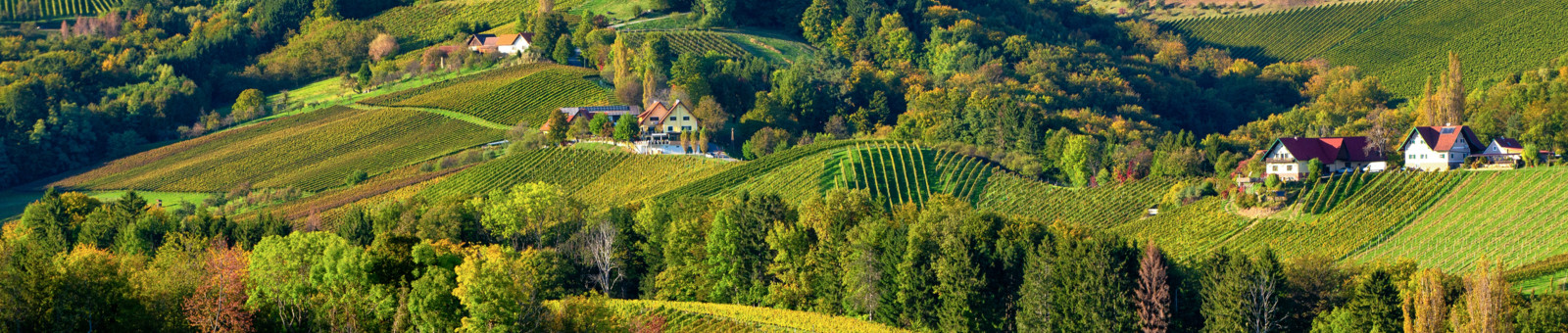     Southern Styria Wine Road 
